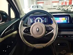 ORA Good Cat 401km Standard Range Luxury LFP - ფოტო 11
