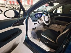 ORA Good Cat 401km Standard Range Luxury LFP - ფოტო 16