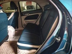 ORA Good Cat 401km Standard Range Luxury LFP - ფოტო 17
