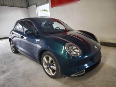 ORA Good Cat 401km Standard Range Luxury LFP - ფოტო 4