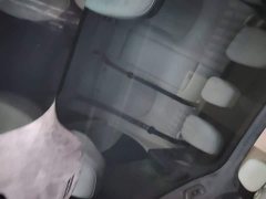 Geely Galaxy E8 665km Rear-Drive Starship Long-Range Edition - ფოტო 18
