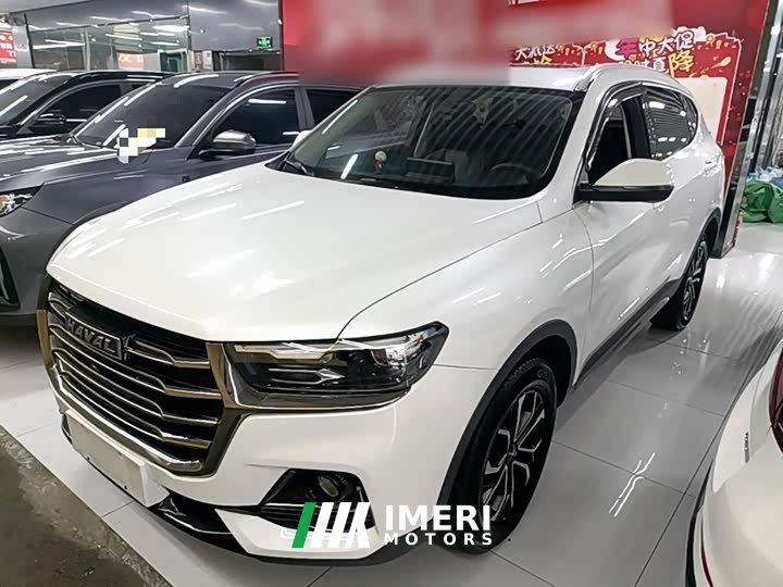 Haval H6 2021 National Trend Edition 1.5T Automatic Urban Version - ავტომობილი ჩინეთიდან