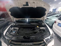 Haval H6 2021 National Trend Edition 1.5T Automatic Urban Version - ფოტო 20