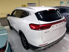 Haval H6 2021 National Trend Edition 1.5T Automatic Urban Version - ფოტო 5
