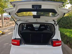 Wuling Hongguang MINIEV 2020 Deluxe Edition LFP Battery - ფოტო 19
