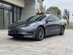 Tesla Model 3 Standard Range RWD Upgrade - ფოტო 1