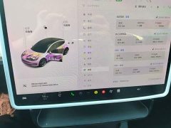 Tesla Model 3 Standard Range RWD Upgrade - ფოტო 12