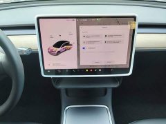 Tesla Model 3 Standard Range RWD Upgrade - ფოტო 13