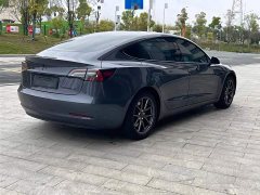 Tesla Model 3 Standard Range RWD Upgrade - ფოტო 7