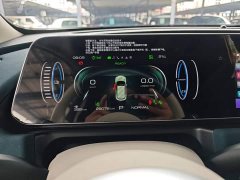 ORA Good Cat 401km Deluxe 135kW - ფოტო 12