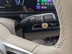 ORA Good Cat 401km Deluxe 135kW - ფოტო 14