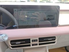 Geely Geometry E Firefly 301km Starlight - ფოტო 13