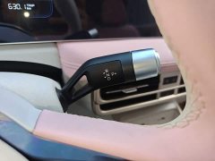 Geely Geometry E Firefly 301km Starlight - ფოტო 14