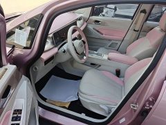 Geely Geometry E Firefly 301km Starlight - ფოტო 16