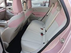Geely Geometry E Firefly 301km Starlight - ფოტო 17