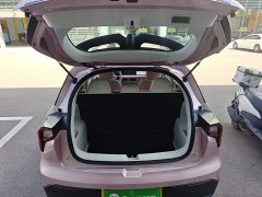 Geely Geometry E Firefly 301km Starlight - ფოტო 19