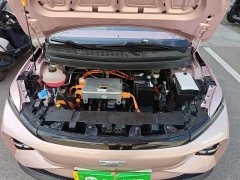 Geely Geometry E Firefly 301km Starlight - ფოტო 20