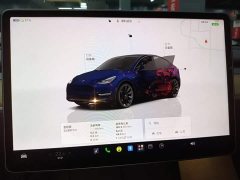 Tesla Model Y Rear-Wheel Drive - ფოტო 12