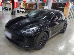 Tesla Model Y Rear-Wheel Drive - ფოტო 2