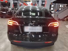 Tesla Model Y Rear-Wheel Drive - ფოტო 6