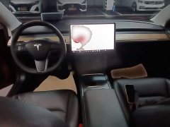 Tesla Model 3 Facelift Standard Range RWD Upgrade 3D1 - ფოტო 10