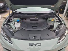 BYD Dolphin 06GT Smart Drive 505 Wave Plus Edition - ფოტო 20