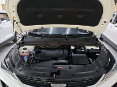 Geely Bingyue L 1.5TD DCT Star Diamond - ფოტო 20