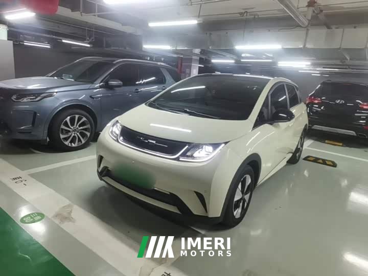 BYD Dolphin 420km Fashion Edition - ავტომობილი ჩინეთიდან