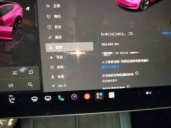 Tesla Model 3 2022 Rear-Wheel Drive - ფოტო 12