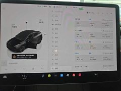 Tesla Model Y Rear-Wheel Drive - ფოტო 12