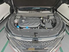 Changan X5 PLUS 1.5T DCT Pioneer Trim - ფოტო 20