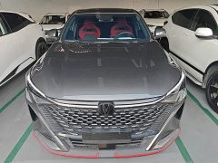 Changan X5 PLUS 1.5T DCT Pioneer Trim - ფოტო 3