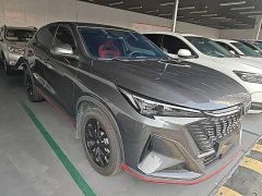 Changan X5 PLUS 1.5T DCT Pioneer Trim - ფოტო 4