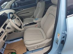 ORA Good Cat Morandi Edition 400km Standard Range Deluxe Type LFP Battery - ფოტო 15