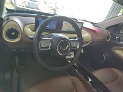 Wuling Binguo 333km Joy Edition - ფოტო 10