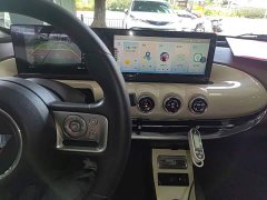Wuling Binguo 333km Joy Edition - ფოტო 13