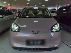 Wuling Binguo 333km Joy Edition - ფოტო 3