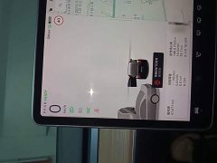 Tesla Model 3 2022 Rear-Wheel Drive - ფოტო 12