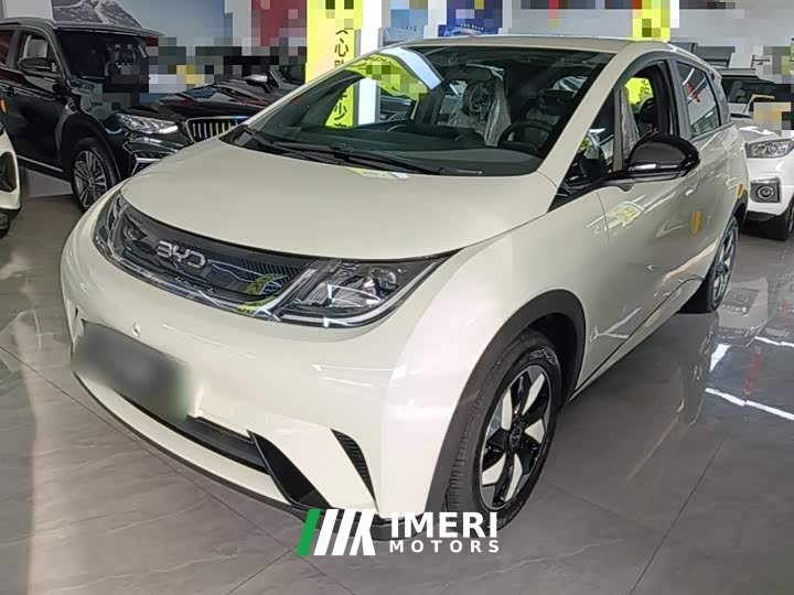 BYD Dolphin 420km Freedom Edition