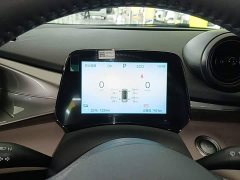 BYD Dolphin 2025 420km Freedom Edition - ფოტო 12