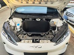 BYD Dolphin 06 EV 470KM Prestige Edition - ფოტო 20