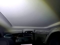 Chery Fengyun T9 120 Long Range Deluxe 5-Seater LFP - ფოტო 18