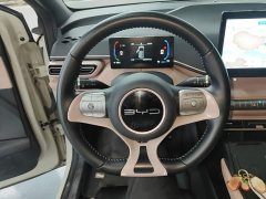 BYD Seagull 2023 Freedom Edition - ფოტო 11
