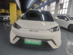 BYD Seagull 2023 Freedom Edition - ფოტო 3