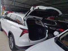 Changan CS75 PLUS 1.5T Automatic Pioneer Edition - ფოტო 19