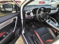 Geely Bingyue 2021 1.4T DCT Diamond Edition - ფოტო 16
