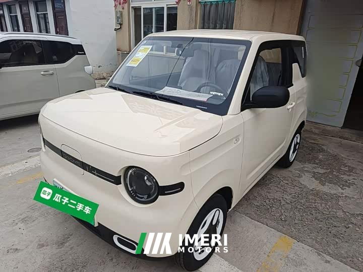 Geely Panda 2025 Panda Mini 210km Vitality Edition - ავტომობილი ჩინეთიდან