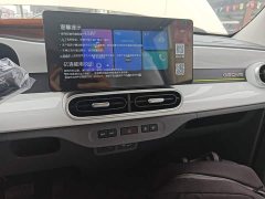 Geely Panda 2025 Panda Mini 210km Vitality Edition - ფოტო 13
