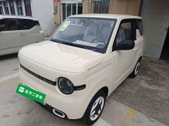 Geely Panda 2025 Panda Mini 210km Vitality Edition - ფოტო 2