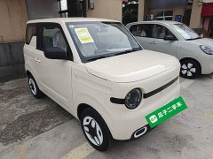 Geely Panda 2025 Panda Mini 210km Vitality Edition - ფოტო 4